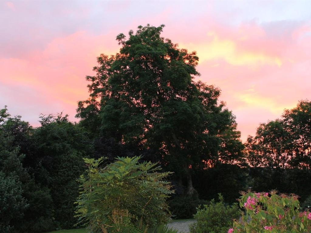Blossom Hill Bed And Breakfast Killaloe Εξωτερικό φωτογραφία